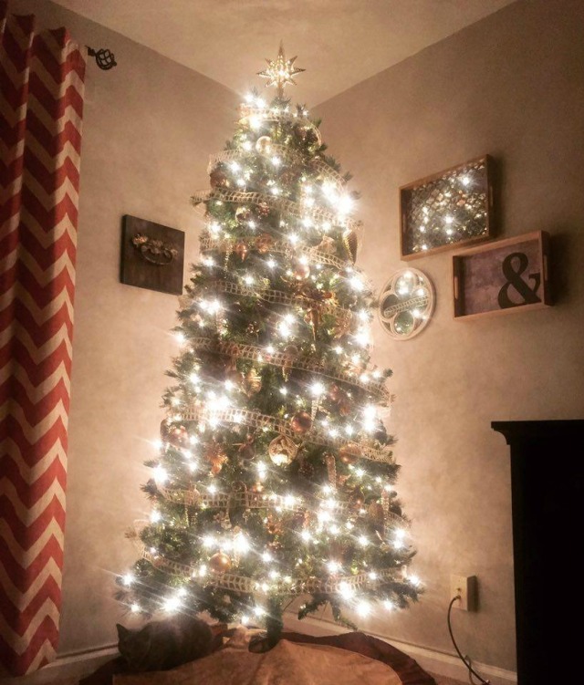 Glorious Gold Christmas Tree at Mom's | "These Are a Few of My Favorite Things..." | NewlyWeddedWurl.Wordpress.com
